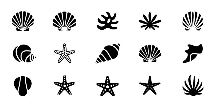 Seashells and Starfish Set with Various Designs and Patterns Featuring Beach, Ocean, Marine with Nature and Icons Elements for Black, White Projects,