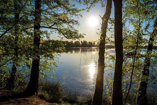 an einen See, der wirkte, als h&auml;tte der Himmel beschlossen, sich selbst zu spiegeln. Zwischen den alten Baumst&auml;mmen fiel das Abendlicht wie fl&uuml;ssiges Gold auf das Wasser. Die Sonne hing noch &uuml;ber dem 
