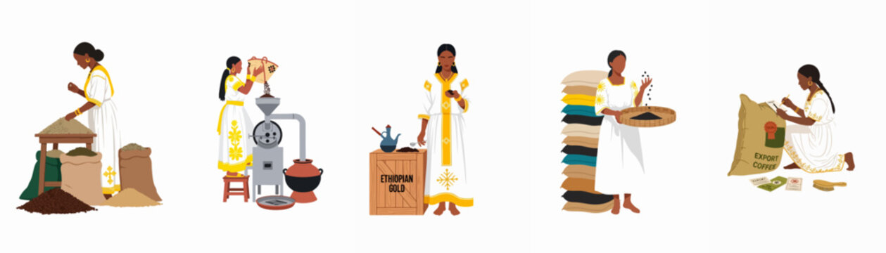 Set of illustrations showing Ethiopian women in traditional clothing engaged in various stages of coffee production, from sorting and roasting to export.