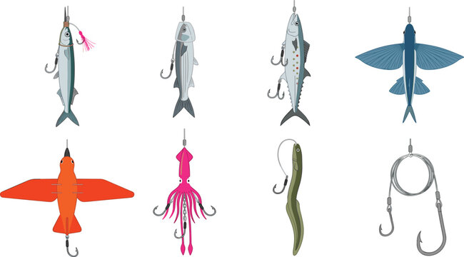 Fishing Lure and Bait Rig Collection with Artificial Fish Lures, Squid Jigs, Eel Baits, Hooks, and Offshore Tackle Equipment