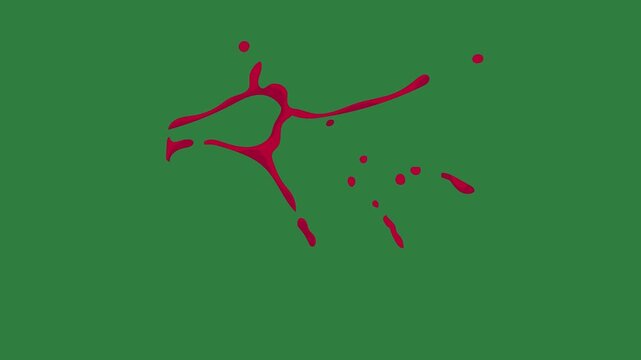 Red paint on it clock bird flying over dot  colorful emotion gesture motion design movement depth scene style creative