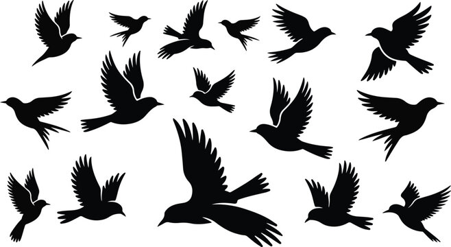 Black flock of birds stencil graphic element collection showing various migratory wild fowl flying silhouettes isolated on clean white background