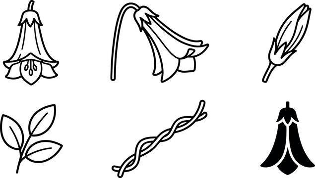 Minimalist Copihue Chilean Bellflower Line Art Icon Set Featuring Isolated Blossoms, Bud, Twisting Vine, Leaves, and Black Silhouette Vector Graphic Elements