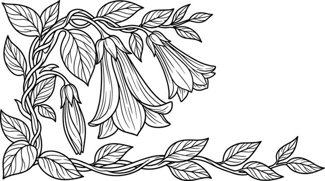 Hand Drawn Copihue Chilean Bellflower Corner Border Frame Sketch with Blooming Blossoms, Vines, Buds, and Leaves for Elegant Wedding Invitations and Botanical Graphic Designs