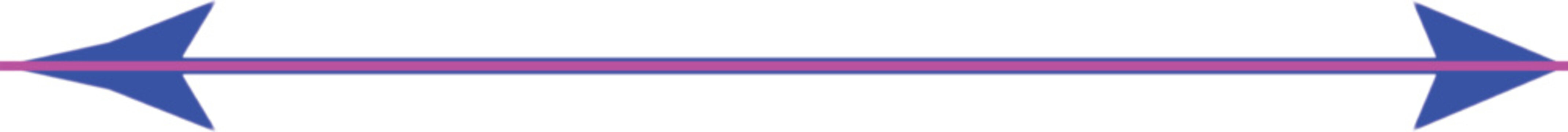 Bidirectional arrows graphic blue and pink horizontal design element