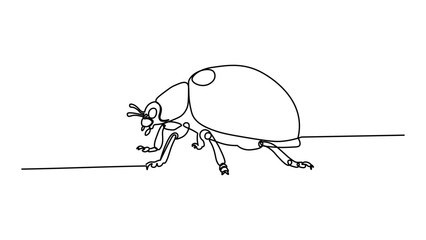 Continuous line drawing ladybug on white background © Graphix Desk