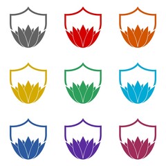 Obraz premium Lotus on Shield icon isolated on white background. Set icons colorful