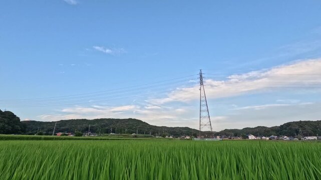 美しい夕焼けのタイムラプス、水田と鉄塔の景色