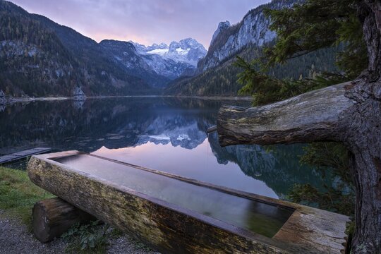 The Vordere Gosausee lake in autumn with a view of the Dachstein mountain range. A water trough in the foreground. The Gosaukamm to the right. Clouds in the sky, sunrise. Vorderer Gosausee, Gosau, Gosau valley, Salzkammergut, Upper Austria, Austria