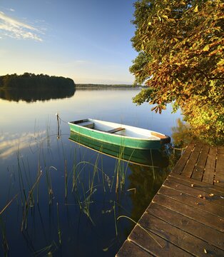 Quiet lake with jetty and rowing boat in the evening in autumn, horse chestnut with autumn leaves on the shore, reeds in the water, Gro&szlig;er Lychensee, Lychen, Uckermark, Brandenburg, Germany