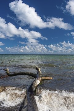 View of chalk cliffs in Jasmund National Park on R&uuml;gen, Sassnitz, R&uuml;gen, Mecklenburg-Western Pomerania, Germany