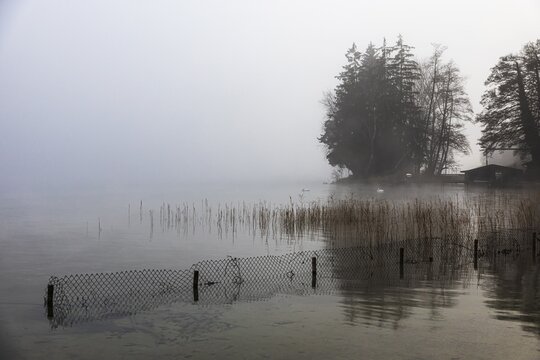 Reeds and fences in foggy Starnberger See, leaves and conifers in the back, Historisches Hotel La Villa, Niederp&ouml;cking, Upper Bavaria, Bavaria, Germany