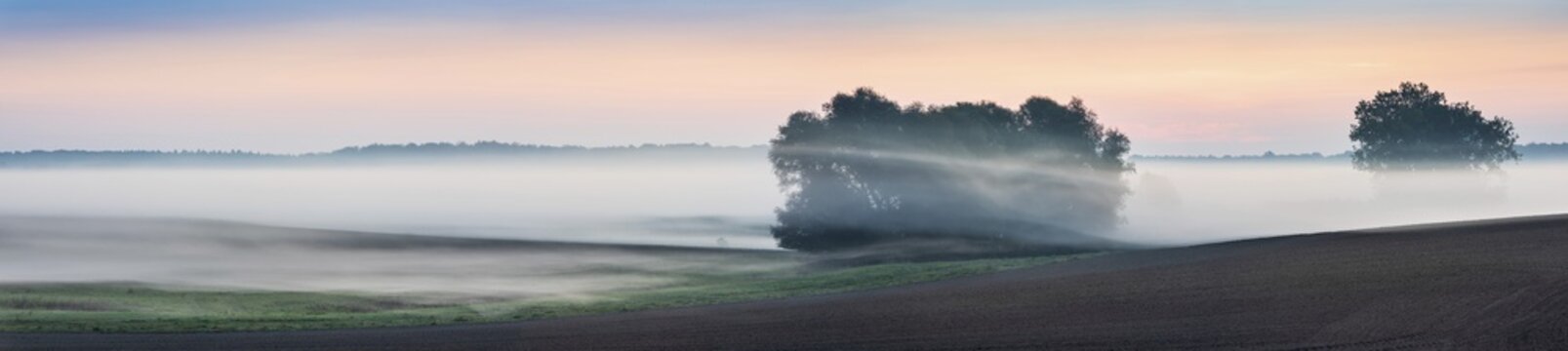 Typical North German field landscape with fog at dawn, Mecklenburg-Western Pomerania, Germany
