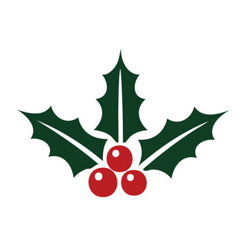 Flat design holly berry icon with green leaves and red berries