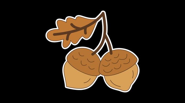 Seamless looping animation of a swinging acorn with twig and dry oak leaves for autumn concepts. Flat style sticker design element on transparent alpha channel background