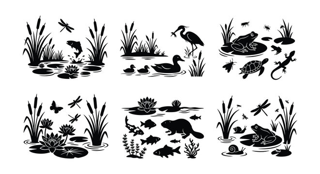 Pond Ecosystem Vector Illustrations With Wildlife And Aquatic Plants