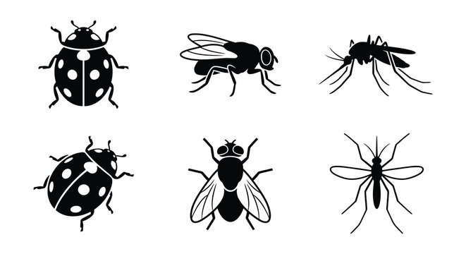 Insect silhouettes Ladybird fly and mosquito vector illustration