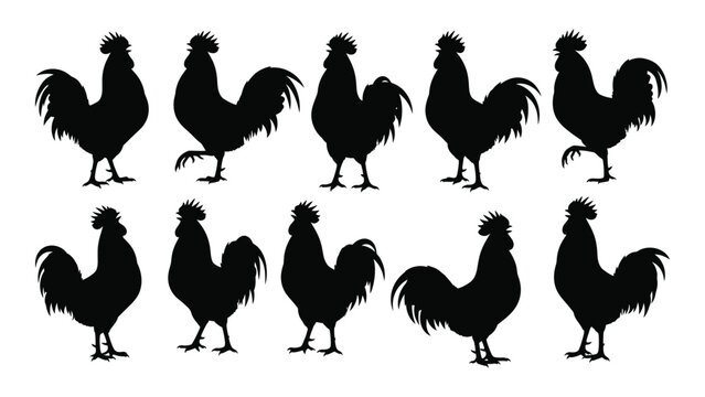 Collection of black rooster silhouettes in various poses a decorative farm animal illustration silhouette roosters cock cockerel poultry fowl barnyard