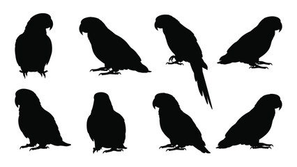 Fototapeta premium Collection Of Parrot Silhouettes In Various Poses Against A White Background Silhouette parrots psittaciformes avian bird birds tropical exotic feathered