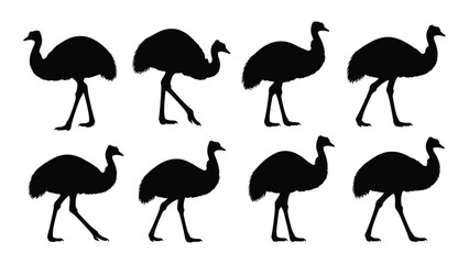 Naklejka premium Collection of emu silhouettes in various poses against a white background a striking graphic silhouette emus bird birds australian wildlife