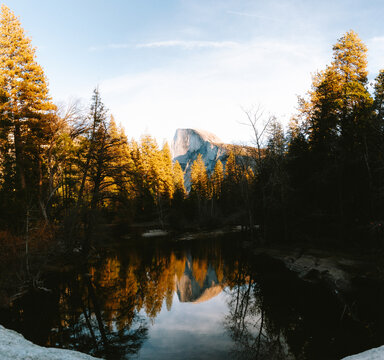 Half Dome and pine trees reflecting in calm water