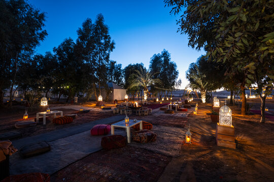 Oasis desert camp in the Sahara