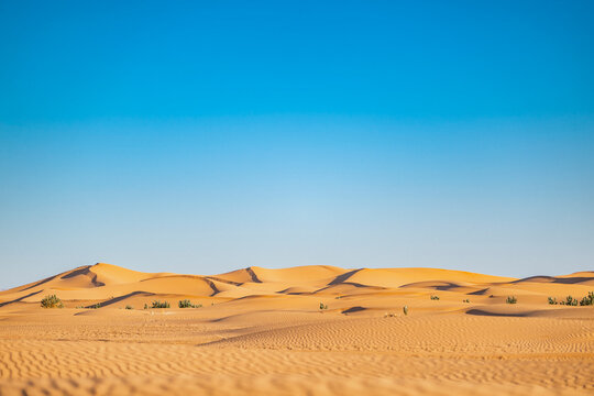 Sand dunes in the empty Sahara desert in Morocco