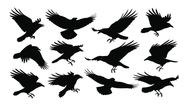 Collection of black bird silhouettes in various flight poses against a white background a graphic silhouette avian birds black and white corvidae