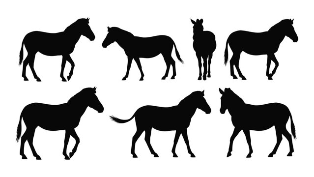 Collection Of Black Horse Silhouettes In Various Poses Against A White Background Silhouette horses equine equines stallion mare foal pony