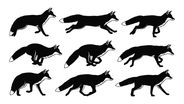 A collection of running fox silhouettes in various poses a monochromatic wildlife illustration silhouette foxes animals mammal canine vulpine black