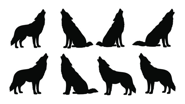 Collection of wolf silhouettes in various poses against a white background silhouette wolves canine canines wildlife animal animals predator predators