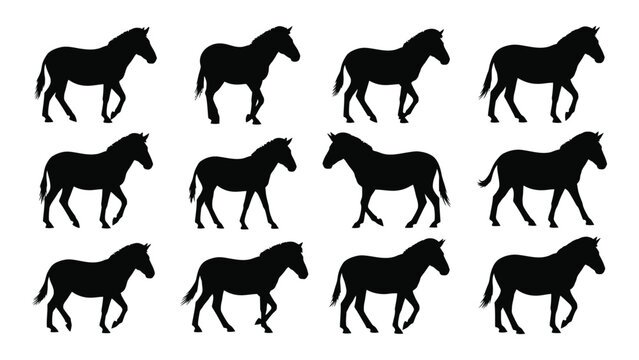 Collection Of Horse Silhouettes In Various Poses Against A White Background Black Silhouette horses equine equines stallion mare foal animal