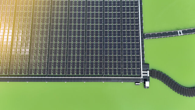 Aerial top-down view of a massive floating solar panel array on bright green water.
