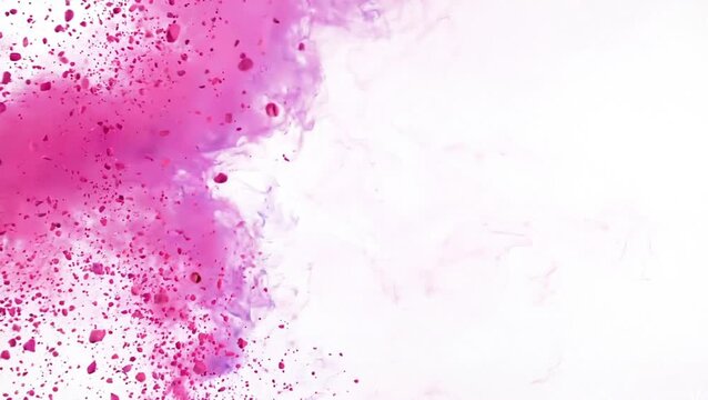 Vibrant pink and purple powder explosion isolated on white background