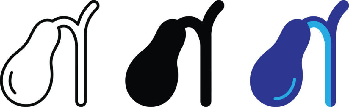 Flat illustration of pancreas organ with duct in three styles