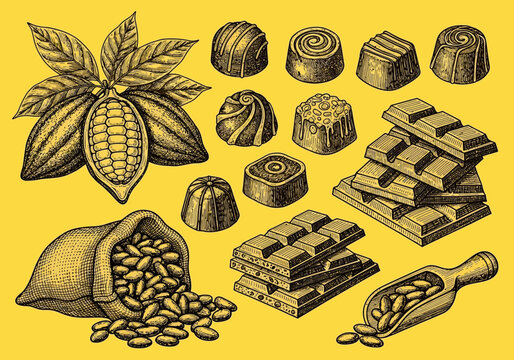 A vintage engraving illustration of various chocolates and cocoa beans, showcasing artisanal confectionery art and rich food textures.