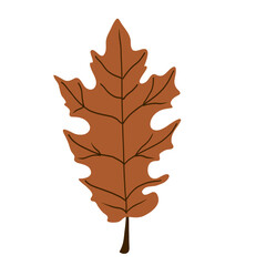 Fototapeta premium Autumn maple leaf vector illustration isolated on white background