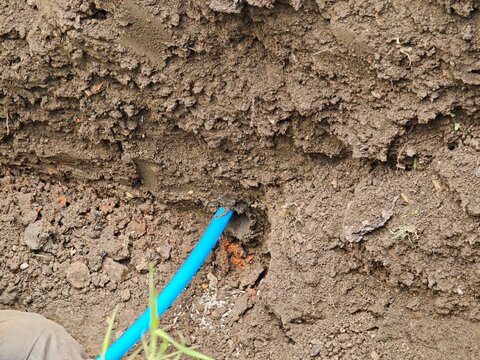 Close-up of blue plastic water pipe entering a drilled underground tunnel in a dirt wall. Horizontal directional drilling and trenchless utility installation process.