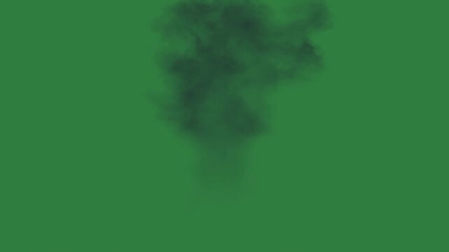 A small black dog on green screen and fire an explosion of smoke cloud with coming out it layers scene colorful figure style backgrounds gesture creative