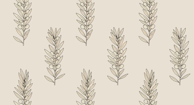 Olive branches and olives pattern, vector illustration