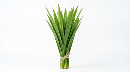 Obraz premium Fresh green pandan leaves bouquet tied with twine isolated on white background