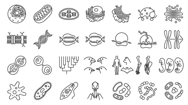 Scientific Icons: A collection of line art icons representing various biological and scientific concepts, from cellular structures and DNA to viruses and evolutionary trees.
