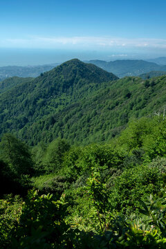 Panoramic view of green forested mountain ridges rolling down to the Black Sea coast and distant city of Batumi in Georgia