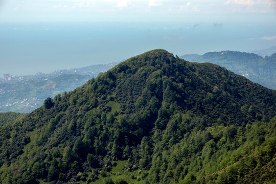 Panoramic view of green forested mountain ridges rolling down to the Black Sea coast and distant city of Batumi in Georgia