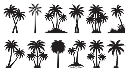Naklejka premium Tropical palm tree silhouettes, collection of 12 black coconut tree icons, exotic island plant vector set for summer travel and beach vacation designs