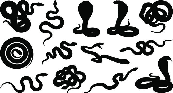 Black snake silhouettes, cobra icons, poisonous reptile shapes, creeping serpent mascots, predatory animal symbols, isolated viper figures, dangerous python outlines.