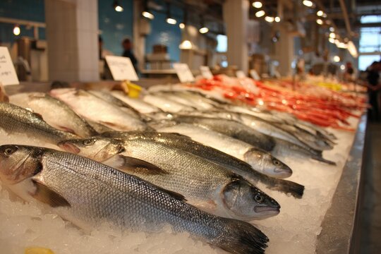 Fresh fish displayed on ice at a vibrant marketplace, ready for purchase