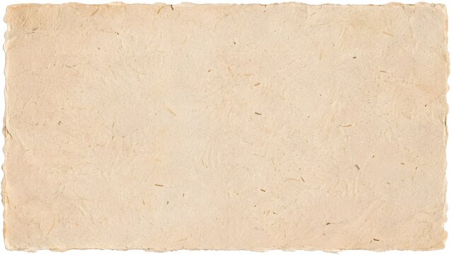 Old handmade paper texture with rough deckle edges