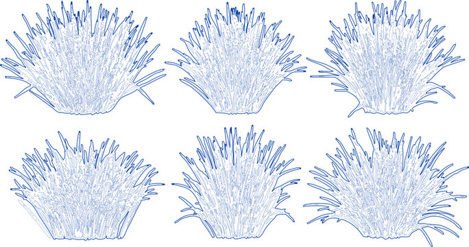Blue Grass Tufts Line Art &ndash; Botanical Cluster Sketch