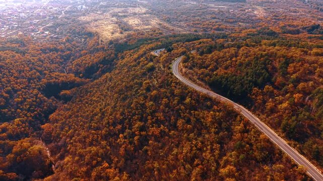 Golden hour light on curving road through autumn mountain valley. Warm toned aerial view of winding highway amid dense deciduous forest with distant town.